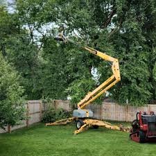 Best Weed Control  in Bethlehem, PA